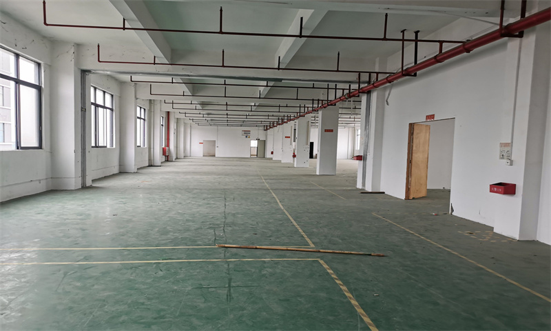 新闻稿：中山市黄圃文明工业区：制造业的新高地