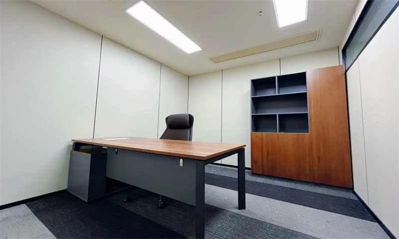 中山市现代信息服务业示范园：引领区域经济数字化转型新引擎